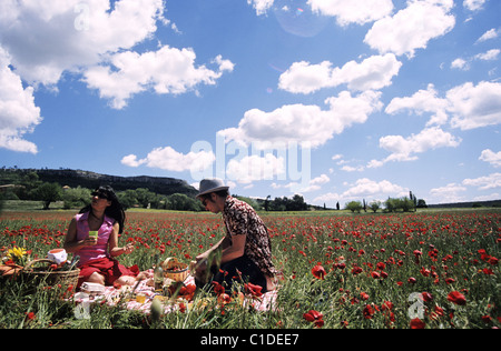 France, bouche du Rhône, pique-nique dans un champ de coquelicots près de Montagne Sainte Victoire Banque D'Images