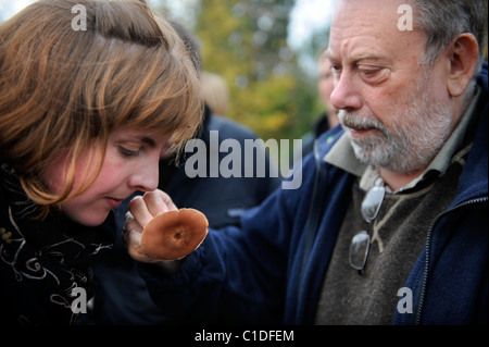 Expert nourriture Raoul Van Den Broucke montre comment identifier un Wood Blewit recueillis près de champignons en Chepstow Gwent, Wale Banque D'Images