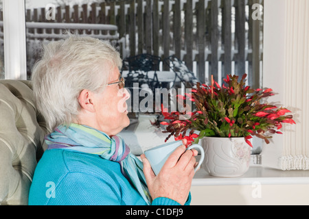 Seul Déprimé senior woman holding hot drink se sentir triste et solitaire à la recherche d'une fenêtre pour neige avec un cactus de Noël sur un rebord de fenêtre. UK Banque D'Images