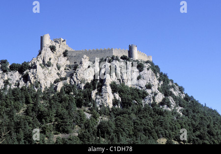 France, Aude, château cathare de Puylaurens dans la vallée de la Boulzane ( Corbières) Banque D'Images
