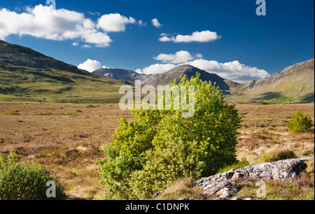 Vue vers l'Maamturk montagnes près de l'encoche, Connemara, comté de Galway, Irlande Banque D'Images