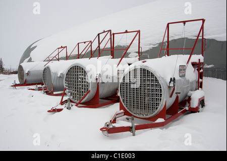 La prison de l'ours polaire à Churchill, Manitoba, Canada Banque D'Images