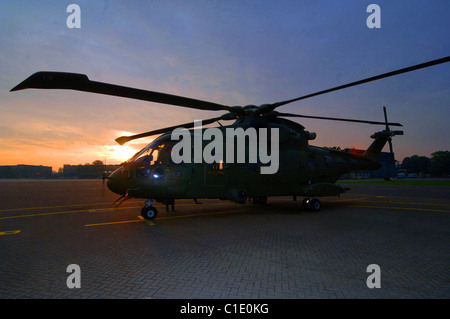 Il merlin ( Oiseau de proie) SC3 et SC3a sont exploités par n° 28(AC) et l'Escadron 78 Squardron à RAF Benson. Banque D'Images