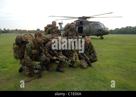 Le merlin (oiseau de proie) SC3 et SC3a sont exploités par n° 28(AC) et l'Escadron 78 Squardron à RAF Benson. Banque D'Images