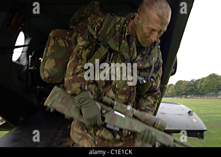 Le merlin (oiseau de proie) SC3 et SC3a sont exploités par n° 28(AC) et l'Escadron 78 Squardron à RAF Benson. Banque D'Images