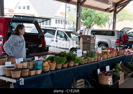 Marché de producteurs ; le centre-ville de South Haven, South Haven, Michigan, USA Banque D'Images