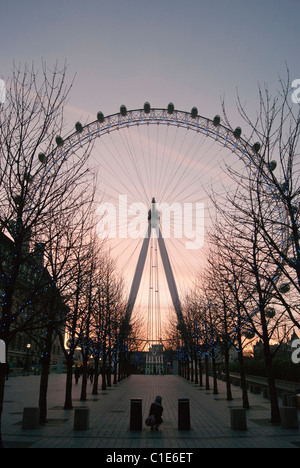 Coucher de soleil sur le London Eye, Riverside, County Hall, Westminster Bridge Road, London, SE1 7PB, England, UK, Grande-Bretagne Banque D'Images