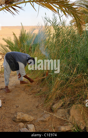 L'homme égyptien mettant le feu aux herbes dans une oasis dans le désert blanc, le parc national de l'Égypte Banque D'Images