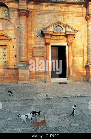 La Grèce, la Crète, les chats devant une église Banque D'Images