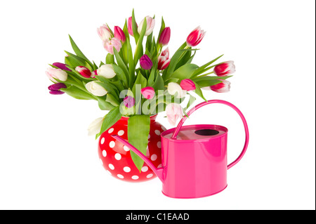 Bouquet de tulipes colorées en rouge avec vase arrosoir rose Banque D'Images