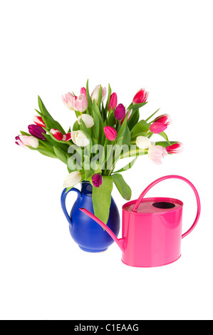 Bouquet de tulipes colorées en rouge et vase arrosoir rose Banque D'Images