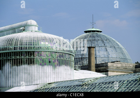 Belgique, Bruxelles, les Serres de Laeken Palais Royal Park Banque D'Images