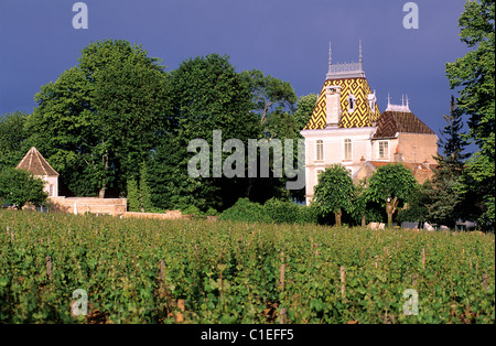 France, Côte d'Or, Beaune, le Chateau Banque D'Images