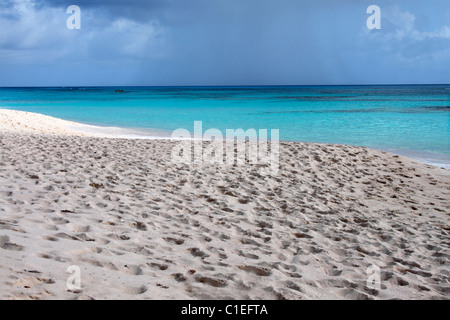 Warwick Long Bay, Bermudes Banque D'Images