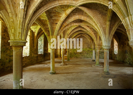 La Chambre des novices, Battle Abbey, Battle, East Sussex, Angleterre, Royaume-Uni Banque D'Images