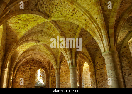 La Chambre des novices, Battle Abbey, Battle, East Sussex, Angleterre, Royaume-Uni Banque D'Images