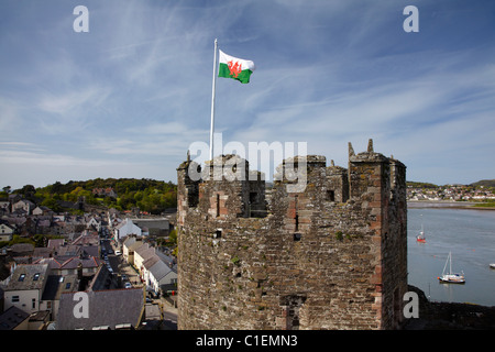 Drapeau gallois sur Château de Conwy (vers 1287), Conwy, Pays de Galles, Royaume-Uni Banque D'Images