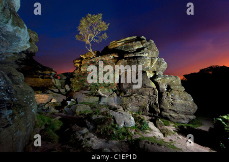 Brigham Rocks, Yorkshire du Nord Banque D'Images