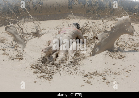 Championnats du monde Mud-Wrestling deux femelles sales dans une fosse de la pince pendant une journée internationale de la femme en cas de boue-lutte Banque D'Images