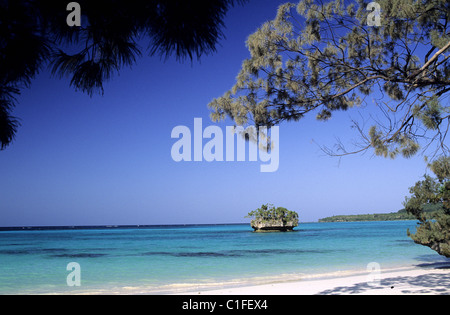 La France, Nouvelle Calédonie, Iles Loyauté, Lifou, Luengoni beach Banque D'Images