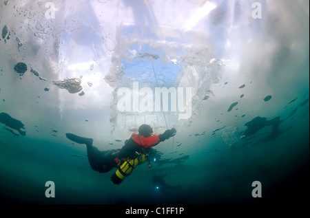 Scuba Diver avec supports latéraux sous la glace, dans le lac Baïkal, en Sibérie, la Russie, l'île Olkhon Banque D'Images