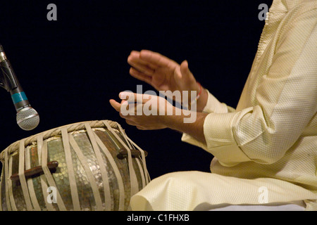 Joueur de tabla indien classique maline à la musique. Banque D'Images