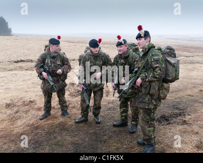 Les soldats de l'armée territoriale de la formation Banque D'Images