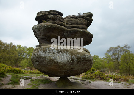 Brimham Rocks Rock, idole, près de Harrogate, Yorkshire, Angleterre, Royaume-Uni Banque D'Images