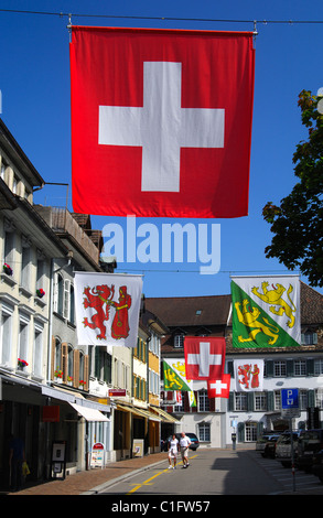 Le Fonds national suisse et d'autres drapeaux locaux dans le centre-ville de Frauenfeld, canton de Thurgovie, Suisse Banque D'Images