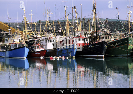 République d'Irlande, comté de Wexford, Kilmore Quay, le port de pêche Banque D'Images