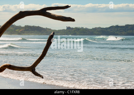 En regardant vers le sud vers la rupture de surf à Playa Guiones de l'assurance populaire surf zone verte village de Nosara, Costa Rica. Banque D'Images