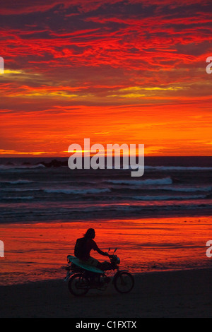 Surfer sur moto & coucher de soleil au large de Playa Guiones beach à cette assurance green zone communauté & spot de surf populaire, Nosara, Costa Rica Banque D'Images