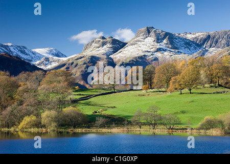 Couleurs d'automne à côté de Loughrigg Tarn avec vue sur les montagnes de neige dépoussiéré le Langdale Pikes, Lake District National Park Banque D'Images