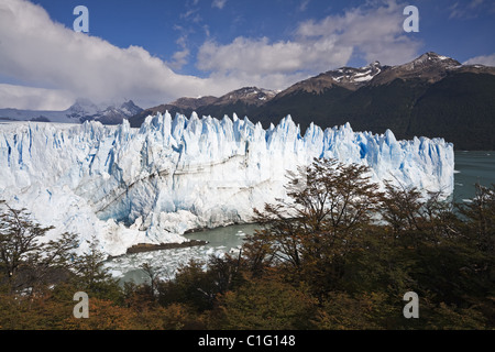 Glacier Banque D'Images