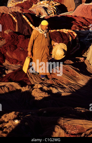 Maroc, Agadir port, les filets de pêche Banque D'Images