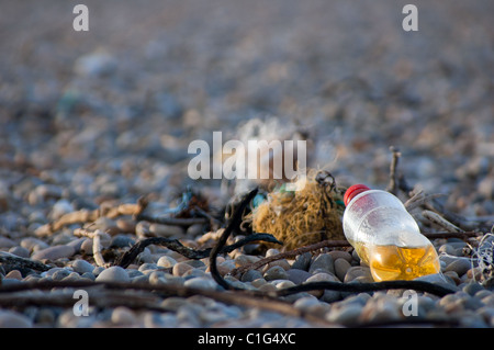 Les déchets en plastique déposés sur la plage de Chesil, dans le Dorset, UK,. Fait en plastique occupent une grande partie de la litière trouvés sur les plages britanniques. Banque D'Images