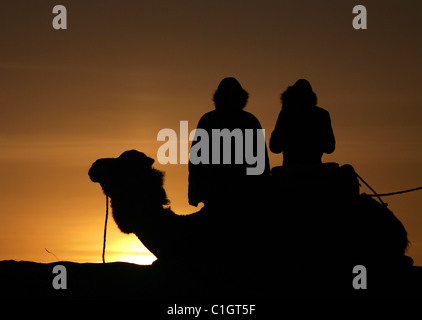 Les touristes voir le soleil se lever sur un chameau en camping, désert du Sahara, l'Erg Chebbi, Maroc. Banque D'Images