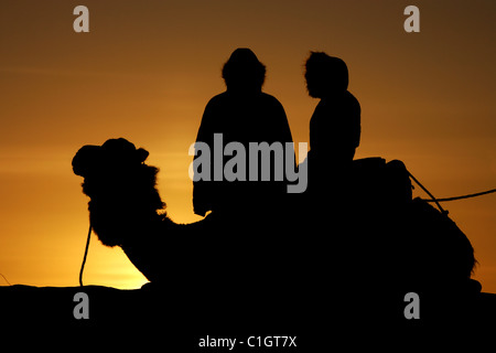 Les touristes voir le soleil se lever sur un chameau en camping, désert du Sahara, l'Erg Chebbi, Maroc. Banque D'Images