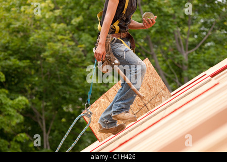 Carpenter hispaniques transportant des bobines de clous sur le toit d'une maison en construction Banque D'Images