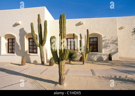 Le Mexique de l'État de Baja California Sur Los Cabos San Jose del Cabo village Las Ventanas del Paradiso Hôtel façade & bougies cactus Banque D'Images