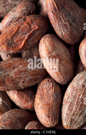 FÈVES DE CACAO Banque D'Images