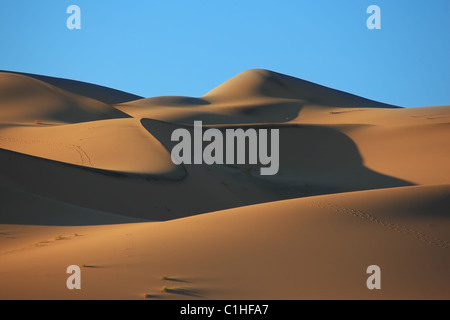 Des tons froids et des traces d'animaux sur le sable de la dune blanche Eureka Banque D'Images