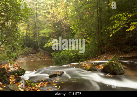Vue panoramique d'un ruisseau à l'automne comme doucement en cascade sur le haut de Indian Creek Falls dans la région de Great Smoky Mountains National Park. Banque D'Images