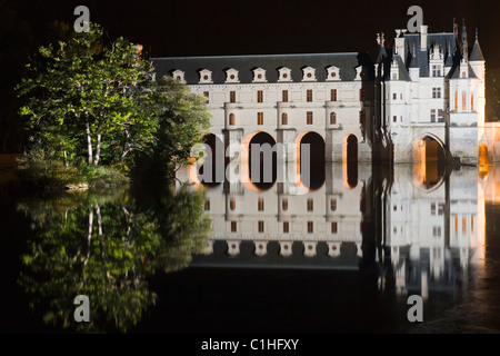 Château de Chenonceau, France. Banque D'Images