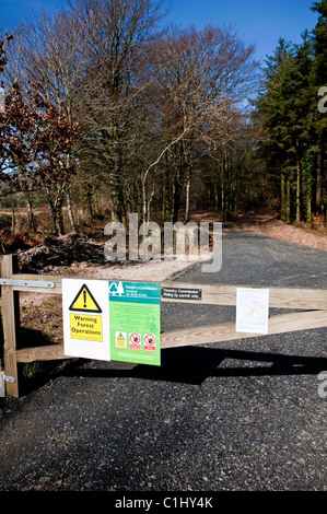 Avertissement sur une porte, qui mène à une commission forestière en plantation et d'abattage qui d'autres travaux sont en place Banque D'Images