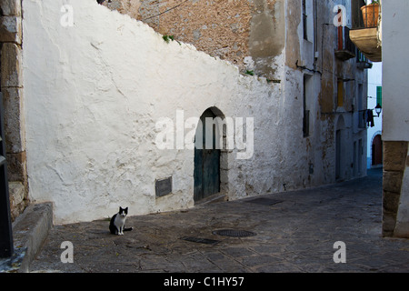 Ibiza, paysage, architecture Banque D'Images