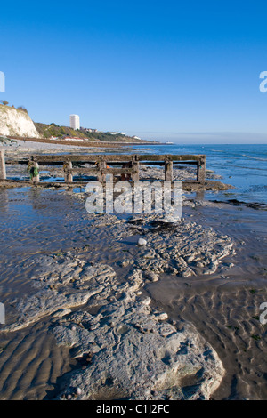 Écart de vache estran à marée basse à la recherche vers Eastbourne, East Sussex Banque D'Images