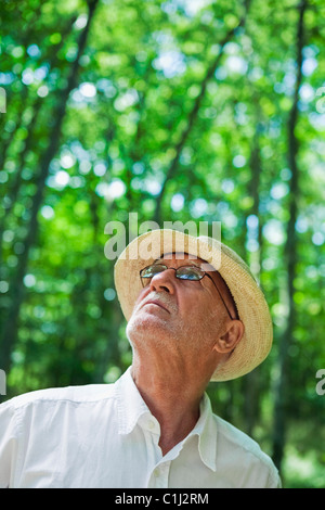 L'homme en forêt, France Banque D'Images