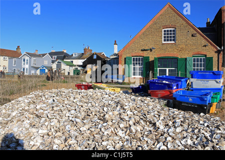 D'huîtres pour recyclage sur la plage à l'extérieur de l'Huître indigène Royal Magasins, Whitstable, Kent, Angleterre, Grande-Bretagne, Royaume-Uni, Europe Banque D'Images