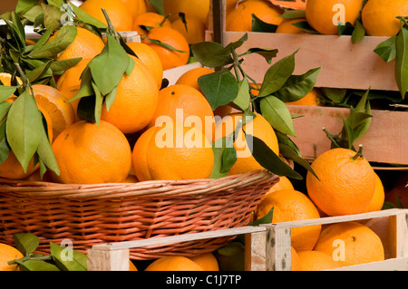 Oranges on market stall, Turin, Italie Banque D'Images